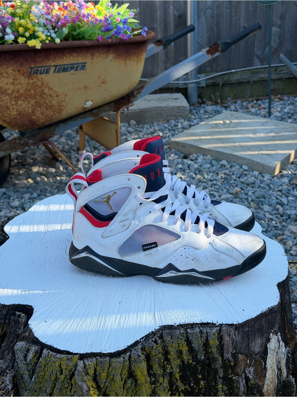Jordan 7 Paname